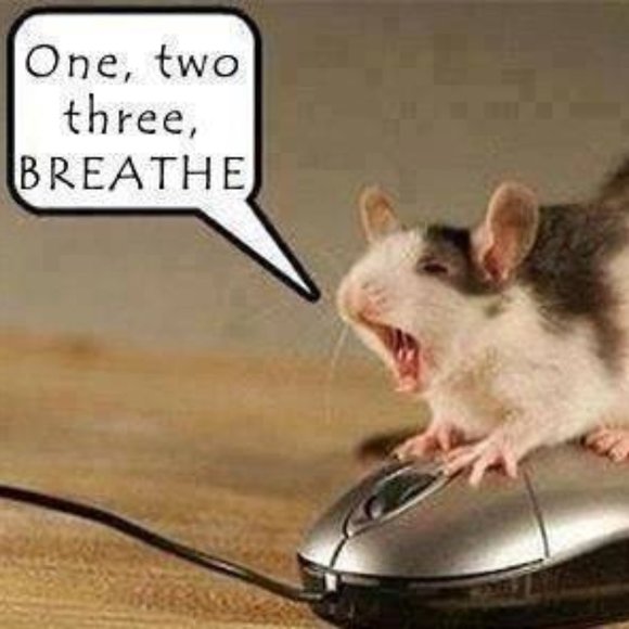 😁 Funnies to Bring a Laugh and Joy to your Day! 😁 - Picture 13 of 15